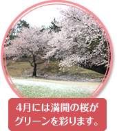 桜の写真